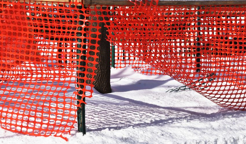 An orange construction fence surrounds a tree in the winter.