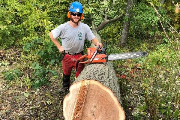Hill-Treekeepers-removal-cut-tree
