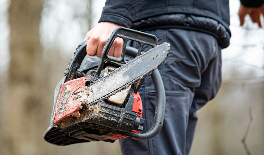 A person not wearing gloves or safety gear carries a chainsaw with one hand.