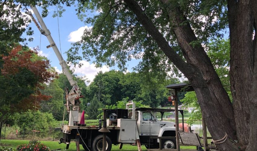 A Hill Treekeepers bucket truck sits in front of trees as Hill Treekepers crew members work on a New York property.