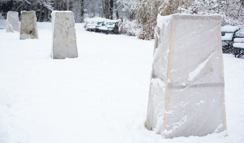 Tree and shrub frames for winter.