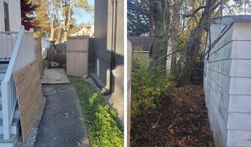 An image showcasing Hill Treekeepers' skilled team navigating a narrow alley for the removal of a tree, employing careful techniques to avoid damage to adjacent buildings and utilities.