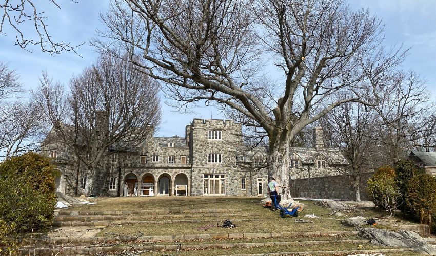 A historic tree the team at Hill Treekeepers treated in Cornwall-On-Hudson, NY