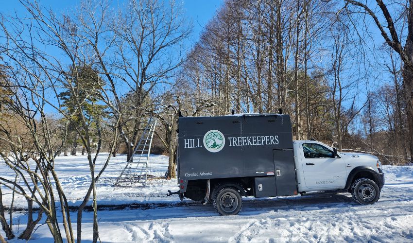 The Hill Treekeepers Truck in a snowy yard during fruit tree pruning in Gardiner, NY.