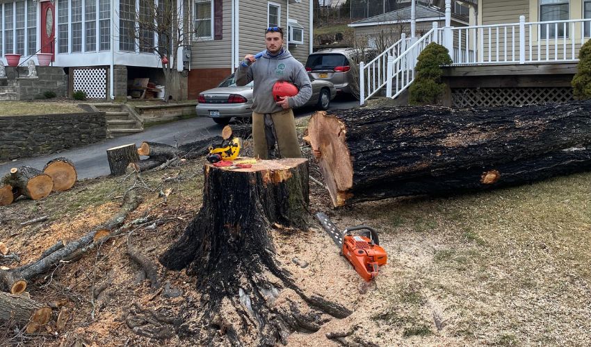 An arborist from Hill Treekeepers poses in front of a stump after a tree removal in Goshen, NY.