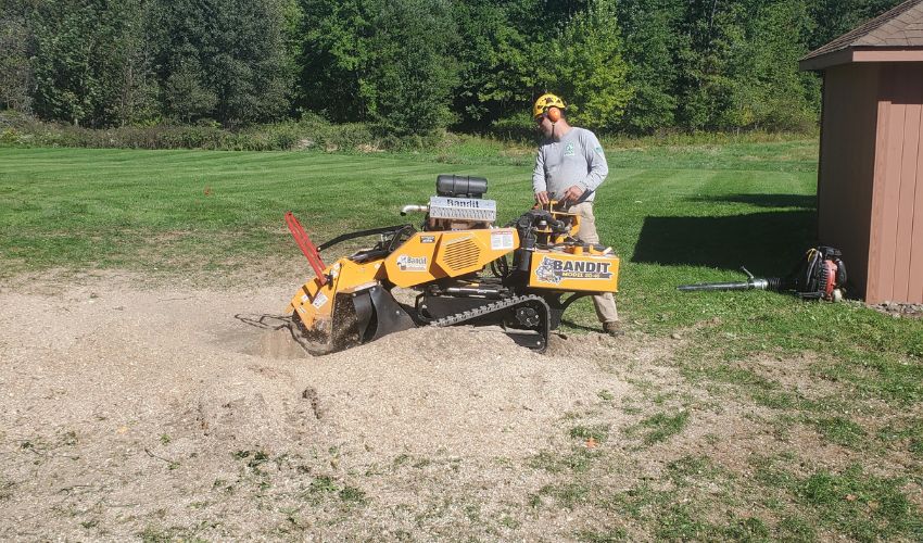 A member of the Hill Treekeepers team grinding a stump in Saugerties, NY.