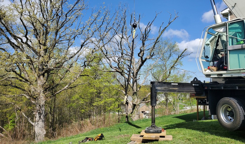 The Hill Treekeepers crane removing a dead tree in Montgomery, NY.