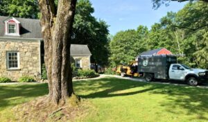 Hill Treekeepers Certified Arborists working on historic Hudson Valley estate with professional equipment and ground protection.