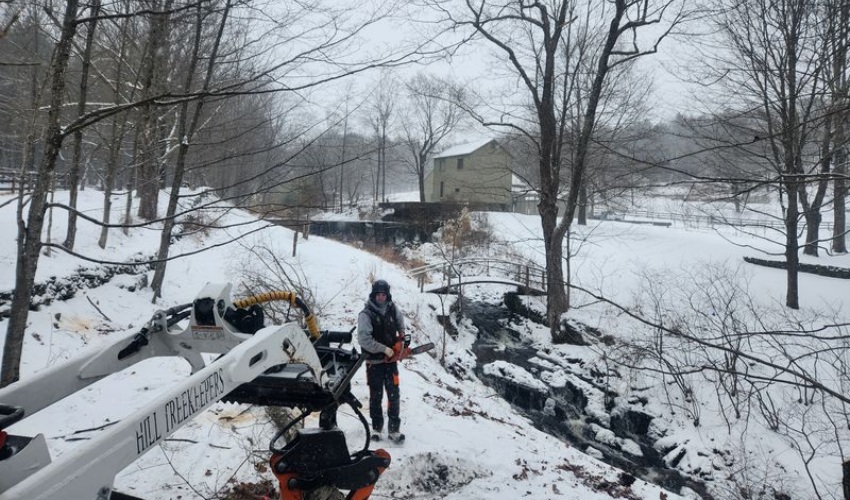 6 Essential Winter Tree Care Tasks Every Hudson Valley Homeowner Should Know 3 Ground crew with chainsaw and skidsteer ready to a tree removal on landscape property near Hudson Valley, NY