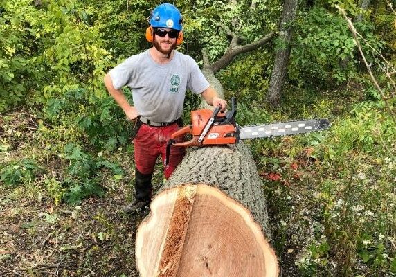 Hill-Treekeepers-Removal-Cut-Tree Hill-Treekeepers-removal-cut-tree